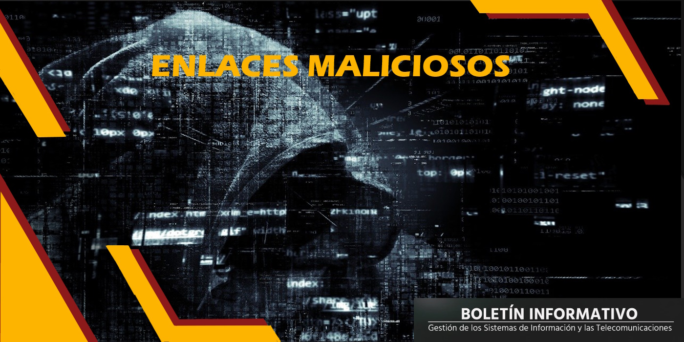 Boletín informativo Volumen 2, número 20, noviembre de 2024