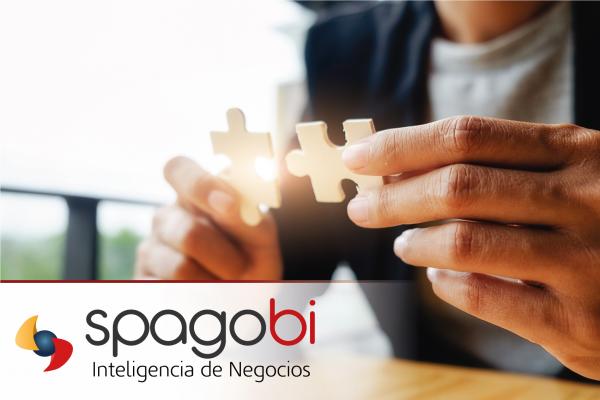 Imagen del servicio Spagobi
