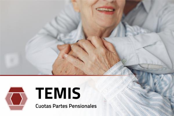 Imagen del servicio Temis
