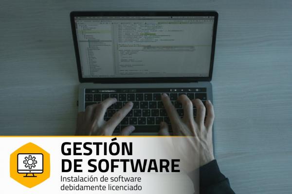 Imagen del servicio Gestión de Software