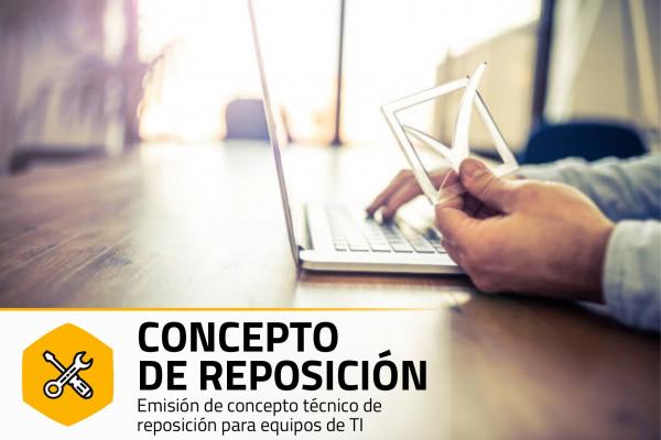 Imagen del servicio Concepto de reposición