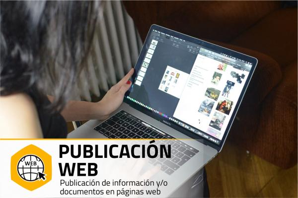 Imagen del servicio Publicación web